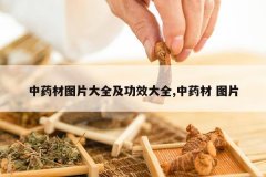 <b>��ҩ��ͼƬ��ȫ����Ч��ȫ,��ҩ�� ͼƬ</b>