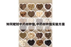 <b>��ι滮��ҩ����ֲ,��ҩ����ֲʵʩ����</b>