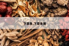 <b>������,��������</b>