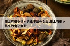 <b>�����к�С��С�ĳ�����ʲô��,�����к�С��С�ĳ��ӻ���</b>