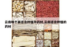 <b>�����ĸ����ʺ���ֲ��ҩ��,�����ʺ���ֲ��ҩ��</b>