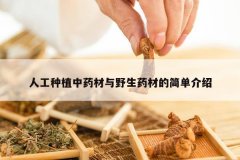 <b>�˹���ֲ��ҩ����Ұ��ҩ�ĵļ򵥽���</b>