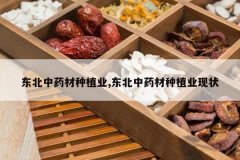 <b>������ҩ����ֲҵ,������ҩ����ֲҵ��״</b>