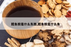 <b>���㽺��ʲô����,���㽺��ʲô��</b>