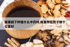 <b>����԰����ֲʲô��ҩ��,��������Ժ���ĸ�λ�ú�</b>