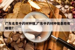 <b>�㶫������ҩ����ֲ,�㶫��ҩ����ֲ��������Щ?</b>
