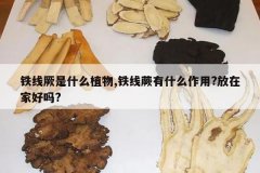 <b>��������ʲôֲ��,����ާ��ʲô����?���ڼҺ���?</b>