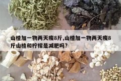 <b>ɽ髼�һ��������8��,ɽ髼�һ��������8��ɽ髺������Ǽ�����?</b>