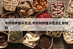 <b>��ҩ����ֲʾ����,��ҩ����ֲʾ����㱨����</b>