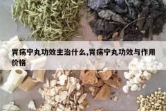 <b>θ�����蹦Ч����ʲô,θ�����蹦Ч�����ü۸�</b>