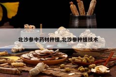 <b>��ɳ����ҩ����ֲ,��ɳ����ֲ����</b>