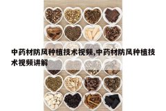 <b>��ҩ�ķ�����ֲ������Ƶ,��ҩ�ķ�����ֲ������Ƶ����</b>