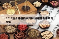 <b>2018�ʺ���ֲ����ҩ��,��ֲʲô�в�ҩ�ĺ�</b>