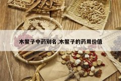 <b>ľ������ҩ����,ľ���ӵ�ҩ�ü�ֵ</b>