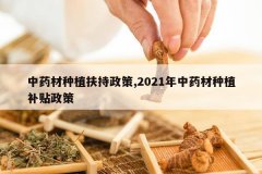 <b>��ҩ����ֲ��������,2021����ҩ����ֲ��������</b>