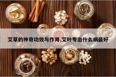 <b>���ݵ����湦Ч������,��Ҷר��ʲô�����</b>