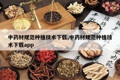 <b>��ҩ�Ĺ淶��ֲ��������,��ҩ�Ĺ淶��ֲ��������app</b>