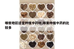 <b>��Щ����������ֲ��ҩ��,������ֲ��ҩ�ıȽ϶�</b>