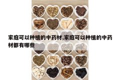 <b>��ͥ������ֲ����ҩ��,��ͥ������ֲ����ҩ�Ķ�����Щ</b>