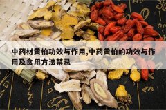 <b>��ҩ�Ļưع�Ч������,��ҩ�ưصĹ�Ч�����ü�ʳ�÷�������</b>