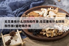 <b>�޻�����ʲô��Ч������,�޻�����ʲô��Ч������r��ؽ�����</b>