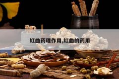 <b>����ҩ������,������ҩ��</b>