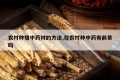 <b>ũ����ֲ��ҩ�ĵķ���,��ũ������ҩ��ǰ����</b>