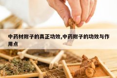 <b>��ҩ�ĸ��ӵ�������Ч,��ҩ���ӵĹ�Ч�����õ�</b>