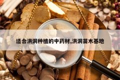 <b>�ʺϺ鶴��ֲ����ҩ��,�鶴��ľ����</b>