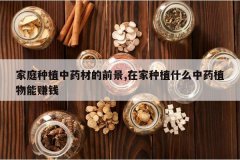 <b>��ͥ��ֲ��ҩ�ĵ�ǰ��,�ڼ���ֲʲô��ҩֲ����׬Ǯ</b>