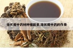 <b>�쳤����ҩ����ֲǰ��,�쳤����ҩ������</b>