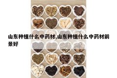 <b>ɽ����ֲʲô��ҩ��,ɽ����ֲʲô��ҩ��ǰ����</b>