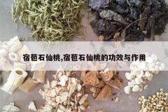<b>�ް�ʯ����,�ް�ʯ���ҵĹ�Ч������</b>