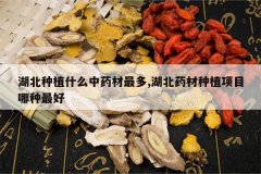 <b>������ֲʲô��ҩ�����,����ҩ����ֲ��Ŀ�������</b>