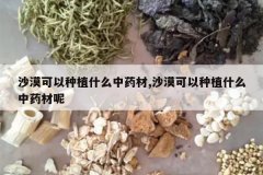 <b>ɳĮ������ֲʲô��ҩ��,ɳĮ������ֲʲô��ҩ����</b>