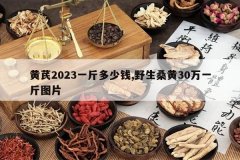 <b>����2023һ�����Ǯ,Ұ��ɣ��30��һ��ͼƬ</b>