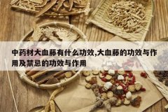 <b>��ҩ�Ĵ�Ѫ����ʲô��Ч,��Ѫ�ٵĹ�Ч�����ü����ɵĹ�Ч������</b>