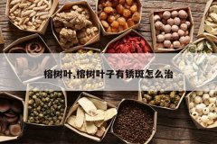 <b>����Ҷ,����Ҷ���������ô��</b>