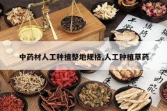 <b>��ҩ���˹���ֲ���ع��,�˹���ֲ��ҩ</b>