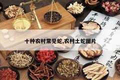 <b>ʮ��ũ�峣����,ũ������ͼƬ</b>