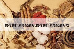 <b>������ʲô�������,������ʲô������ó�</b>