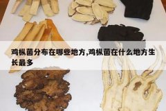 <b>���Ⱦ��ֲ�����Щ�ط�,���Ⱦ���ʲô�ط��������</b>