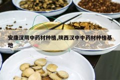 <b>����������ҩ����ֲ,����������ҩ����ֲ����</b>