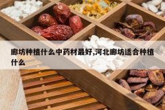 <b>�ȷ���ֲʲô��ҩ�����,�ӱ��ȷ��ʺ���ֲʲô</b>