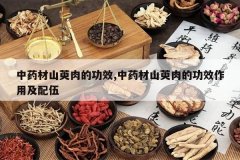 <b>��ҩ��ɽ����Ĺ�Ч,��ҩ��ɽ����Ĺ�Ч���ü�����</b>