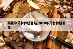 <b>������ҩ����ֲ����,2020��ҩ����ֲ����</b>