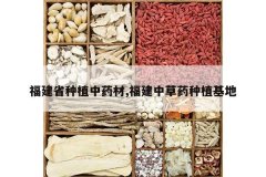 <b>����ʡ��ֲ��ҩ��,�����в�ҩ��ֲ����</b>