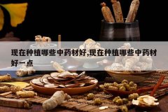 <b>������ֲ��Щ��ҩ�ĺ�,������ֲ��Щ��ҩ�ĺ�һ��</b>