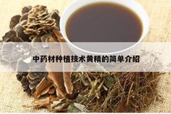 <b>��ҩ����ֲ�����ƾ��ļ򵥽���</b>