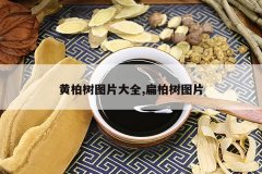 <b>�ư���ͼƬ��ȫ,�����ͼƬ</b>